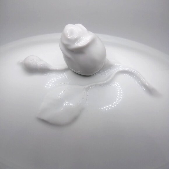 Oscar De La Renta Fine China White Oval Covered Dish Rose Lid Tureen Server Dish - Picture 8 of 14